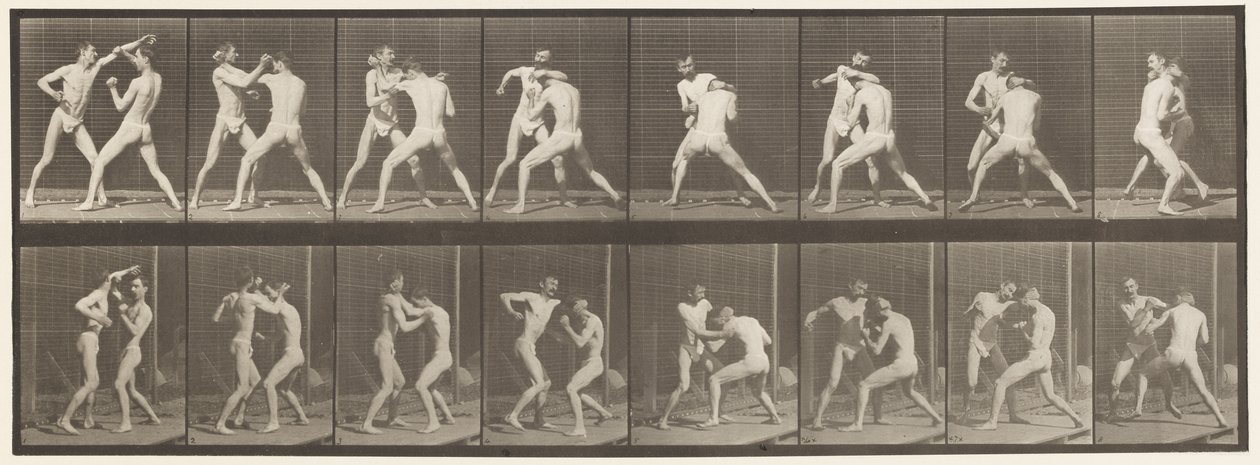 Płyta 342. Boks; Otwarta dłoń, 1872-1885 autorstwa Eadweard Muybridge