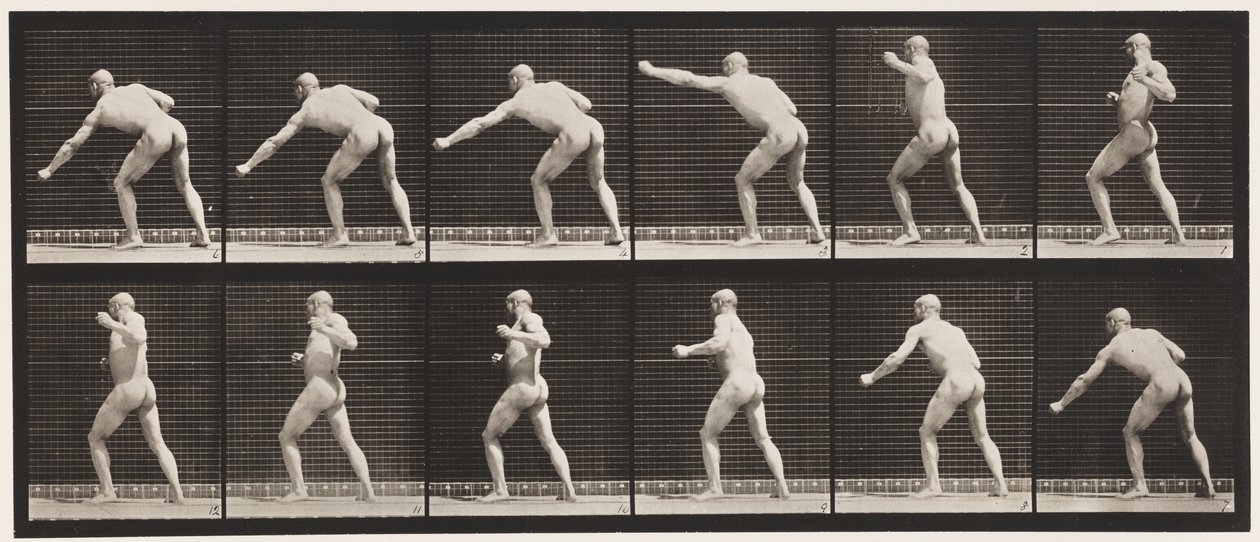 Płyta 343. Uderzenie (lewa ręka) autorstwa Eadweard Muybridge