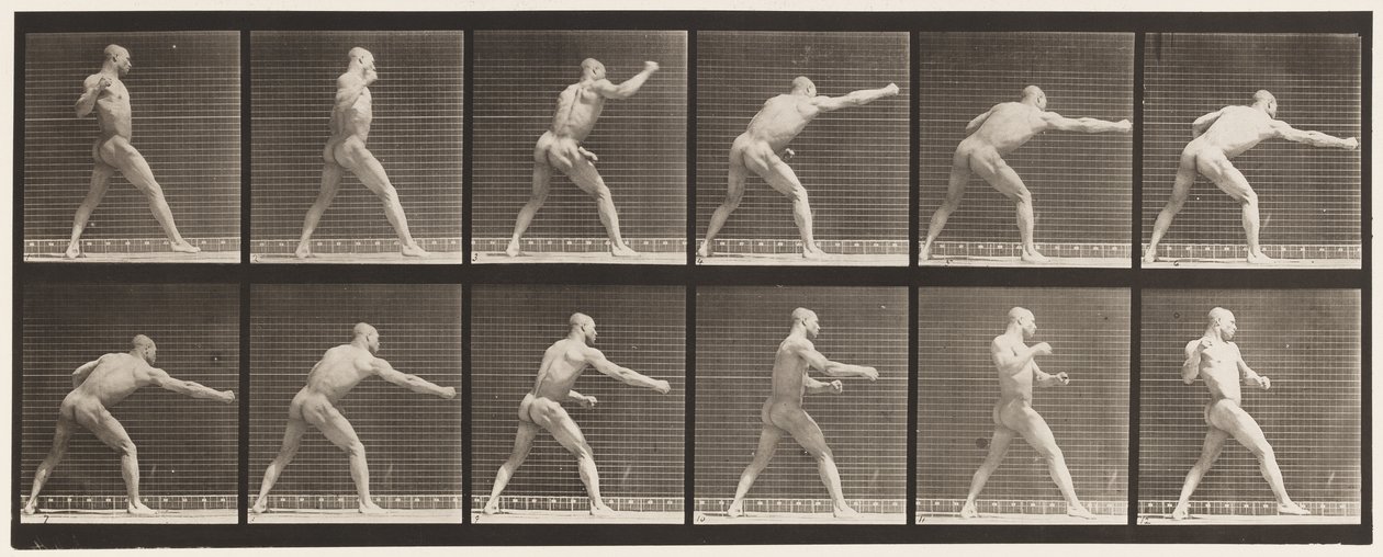 Płyta 344. Uderzenie (prawa ręka) autorstwa Eadweard Muybridge
