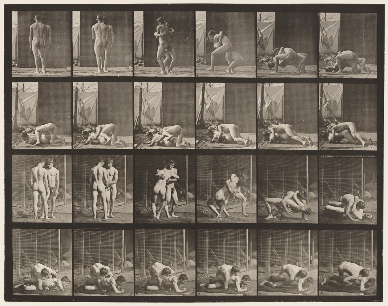 Płyta 346. Zapasy, blokada autorstwa Eadweard Muybridge