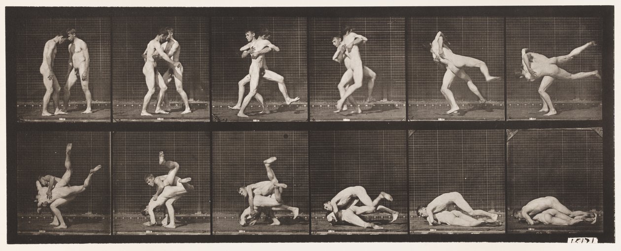 Tabliczka 347. Zapasy, grecko-rzymski, 1885 autorstwa Eadweard Muybridge