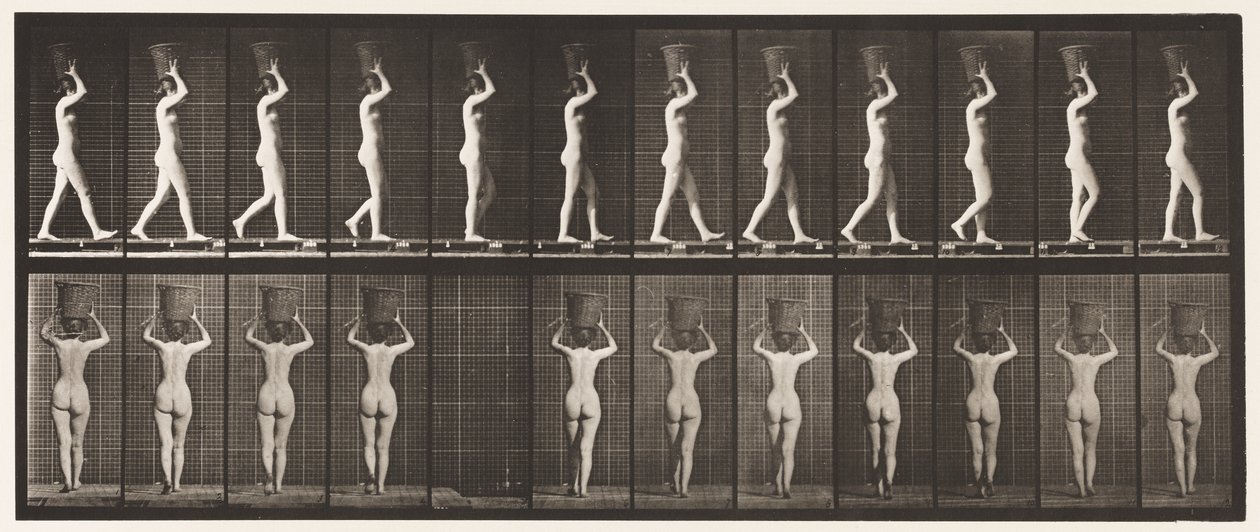 Płyta 34. Chodzenie autorstwa Eadweard Muybridge