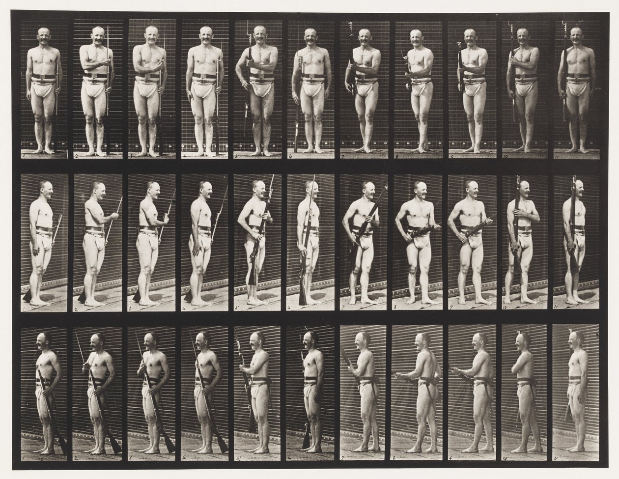 Płyta 351. Mocowanie i odkręcanie bagnetów, 1872-1885 autorstwa Eadweard Muybridge