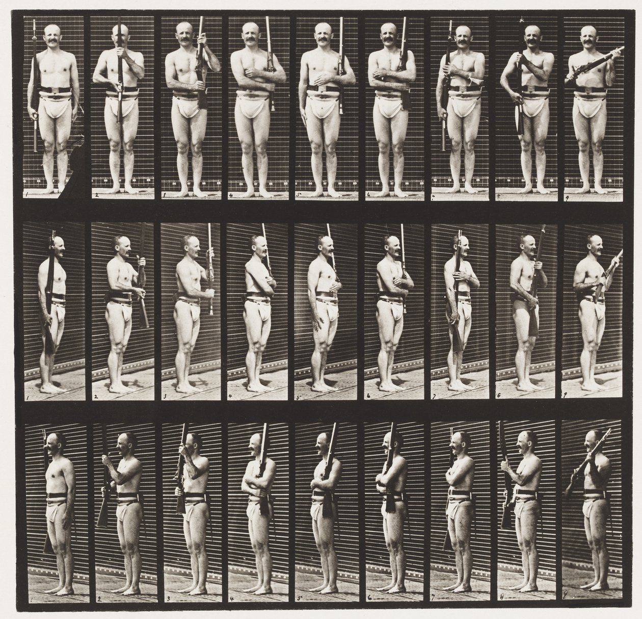 Płyta 353. Wspornik i port broni, 1872-1885 autorstwa Eadweard Muybridge