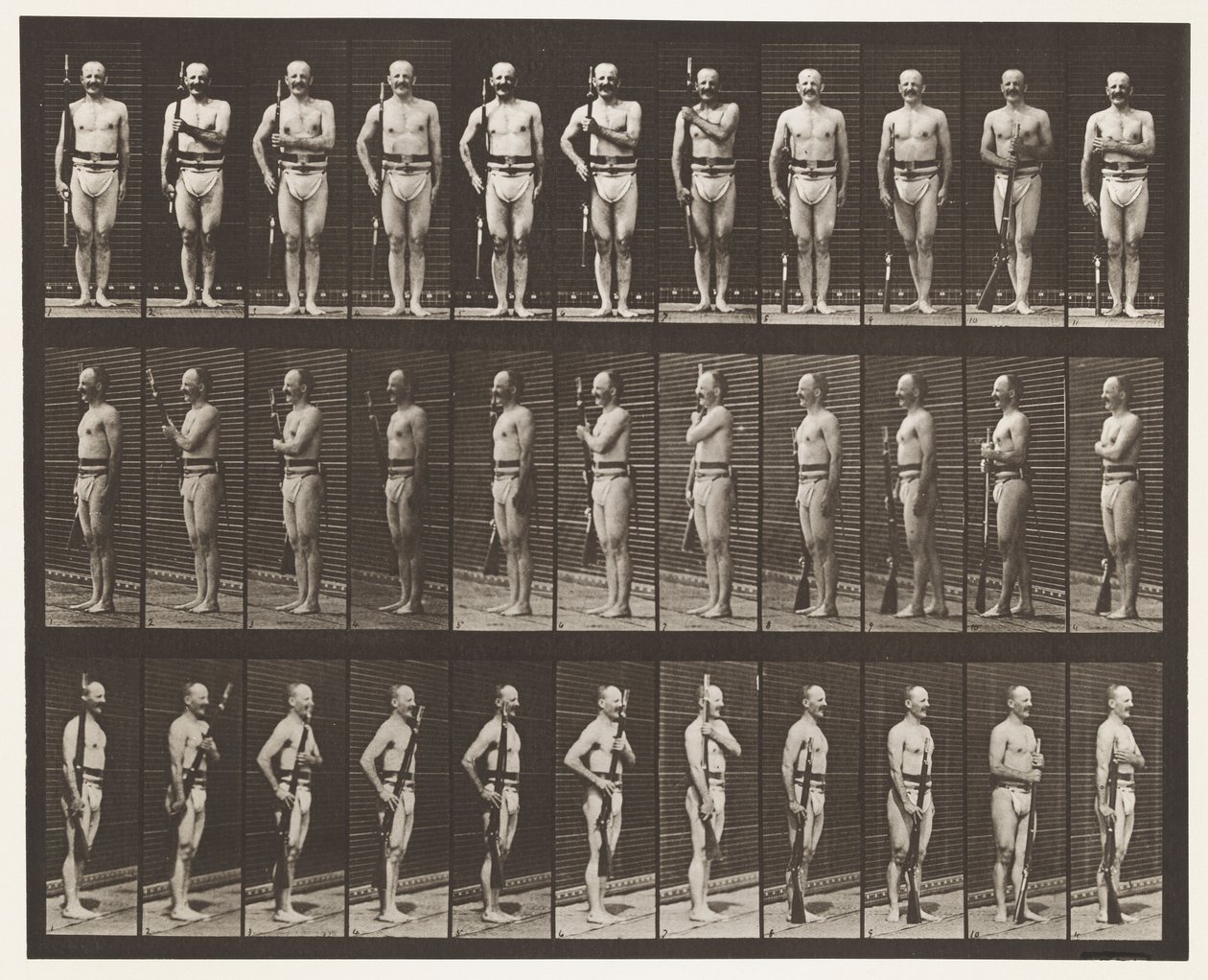 Tabliczka 354. Ramiona do noszenia, odpoczynek na paradę i ramiona do noszenia autorstwa Eadweard Muybridge