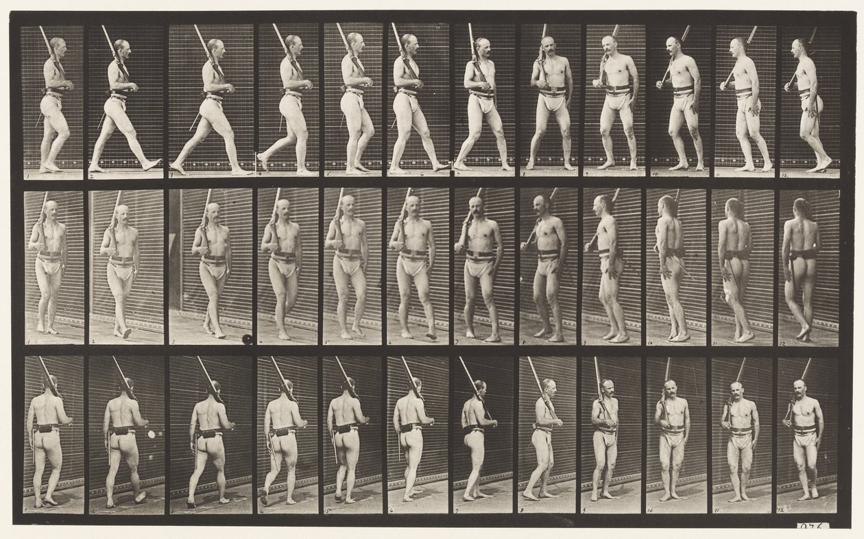 Tabliczka 355. Na straży, chodzenie i odwracanie się autorstwa Eadweard Muybridge