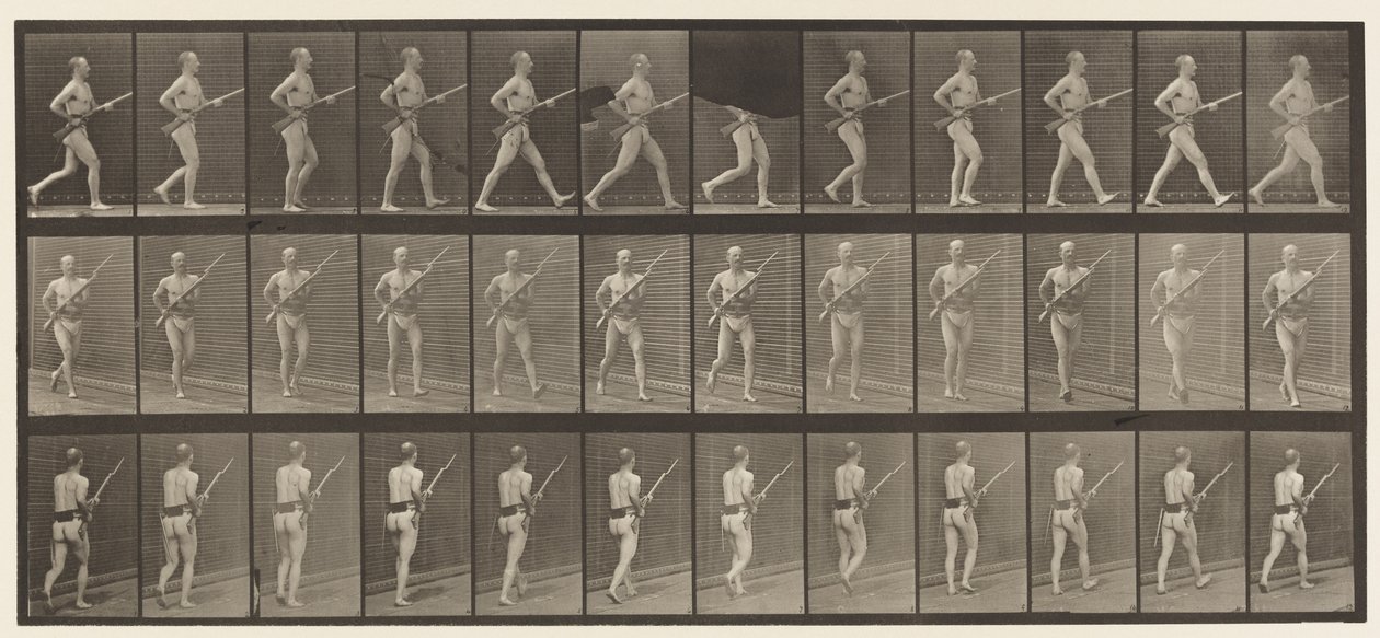 Tabliczka 359. Bagnet ładujący, 1872-1885 autorstwa Eadweard Muybridge