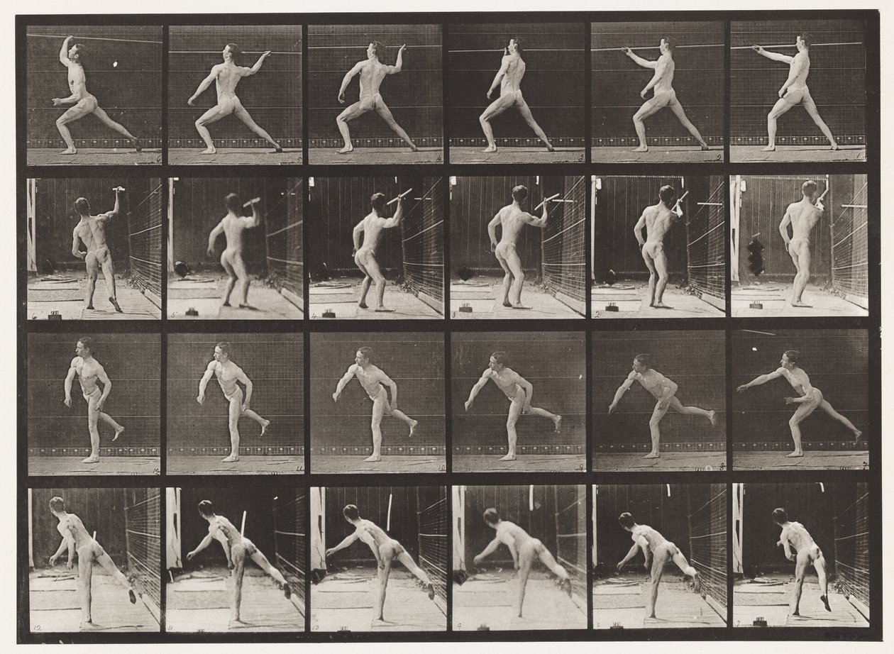Płyta 360. Rzucanie włócznią, 1872-1885 autorstwa Eadweard Muybridge