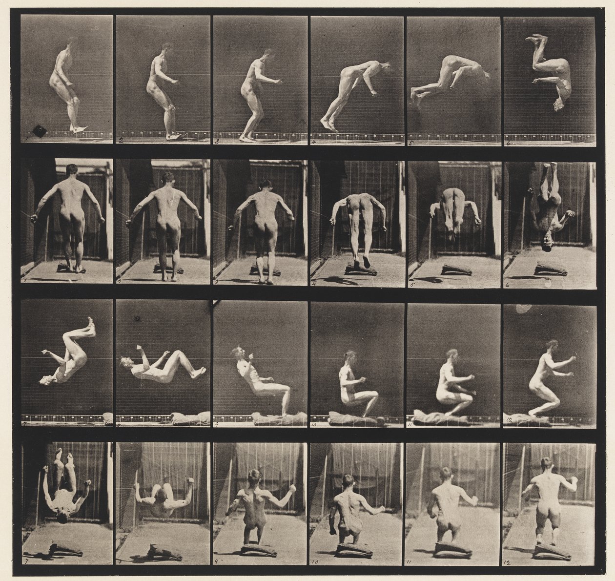 Płyta 363. Biegnąca Salto, 1885 autorstwa Eadweard Muybridge