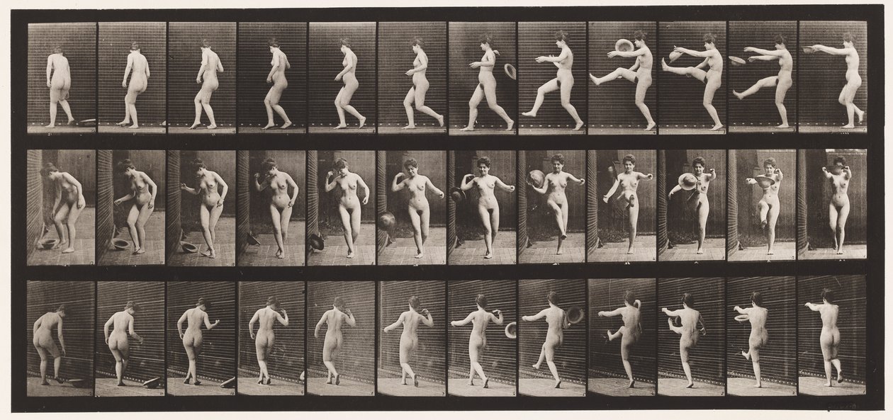Płyta 367. Kopanie kapelusza, 1872-1885 autorstwa Eadweard Muybridge