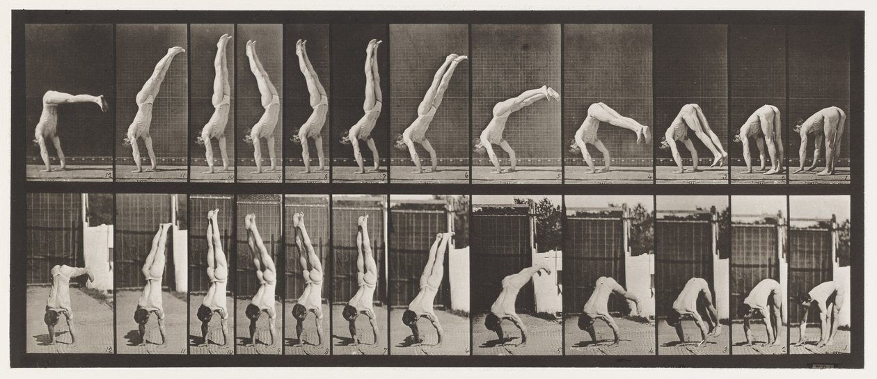 Tabliczka 371. Akrobata, wyciskanie pionowe w górę autorstwa Eadweard Muybridge