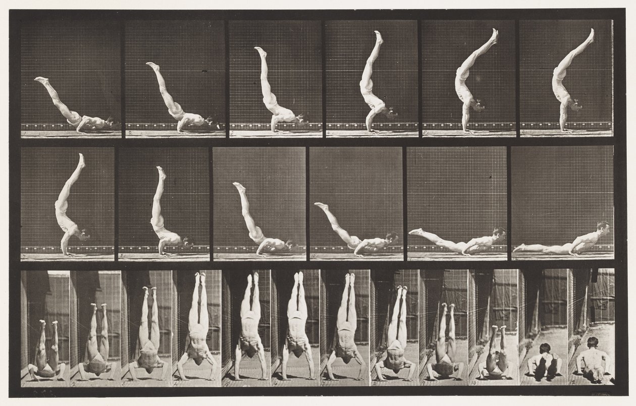 Tabliczka 372. Akrobata, wyciskanie poziome w górę autorstwa Eadweard Muybridge