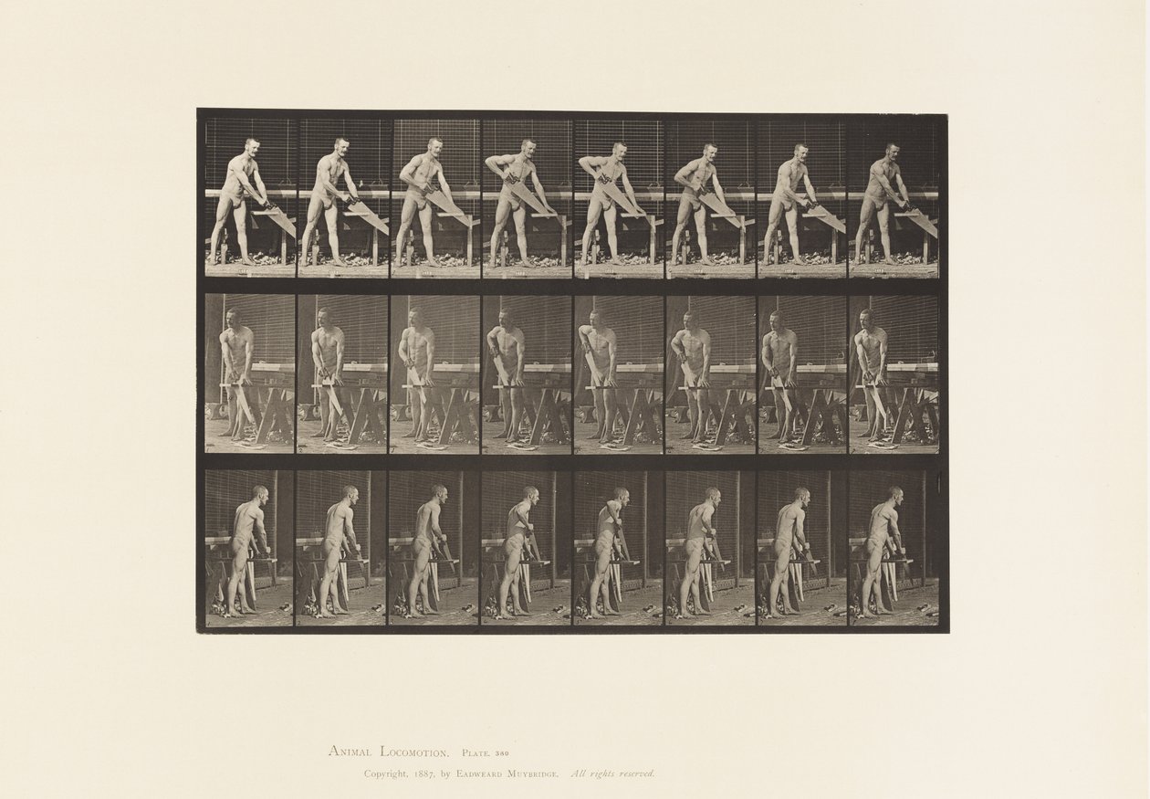 Talerz 380. Stolarz, Piłowanie, 1872-1885 autorstwa Eadweard Muybridge