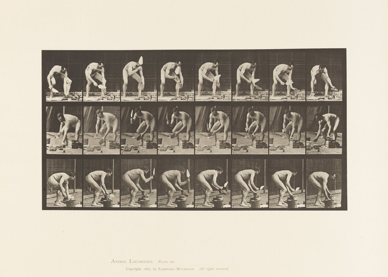 Płyta 381. Murarz, układanie cegły autorstwa Eadweard Muybridge