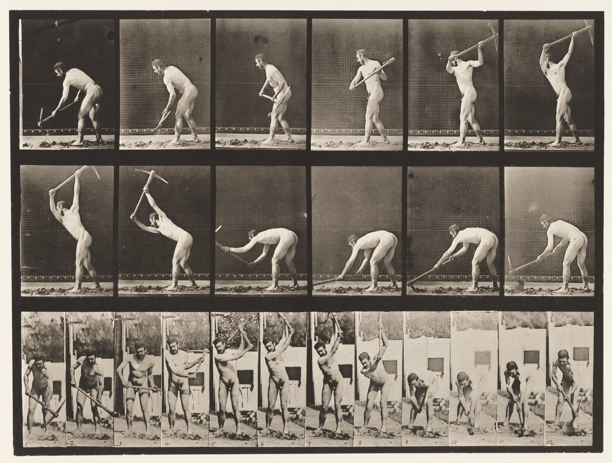 Tabliczka 385. Rolnik, używanie kilofa, 1872-1885 autorstwa Eadweard Muybridge