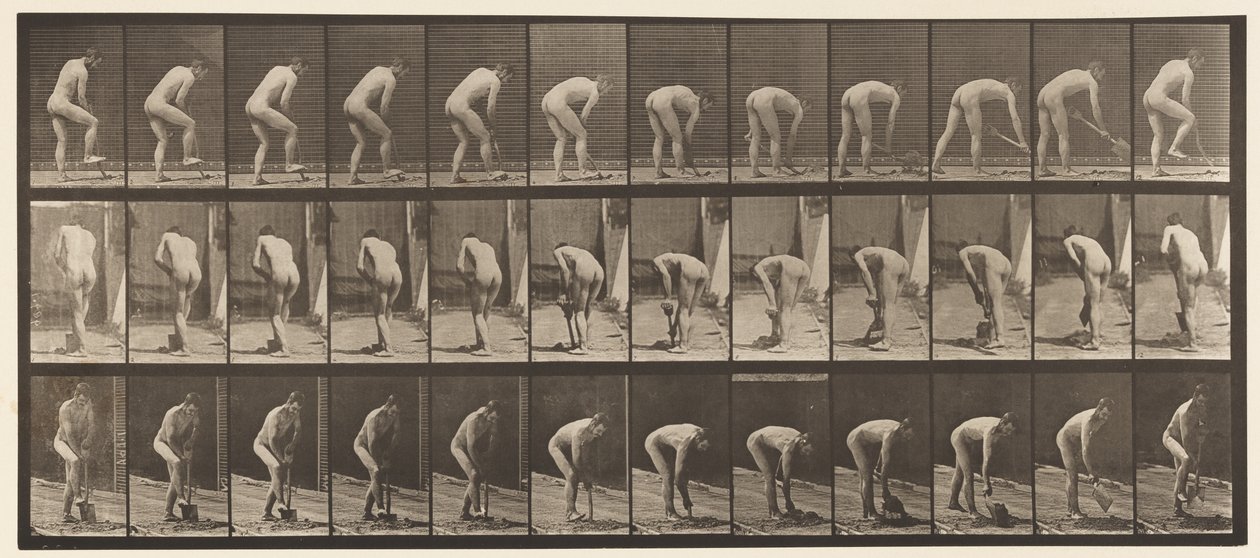 Tabliczka 388. Rolnik, używając łopaty, 1872-1885 autorstwa Eadweard Muybridge