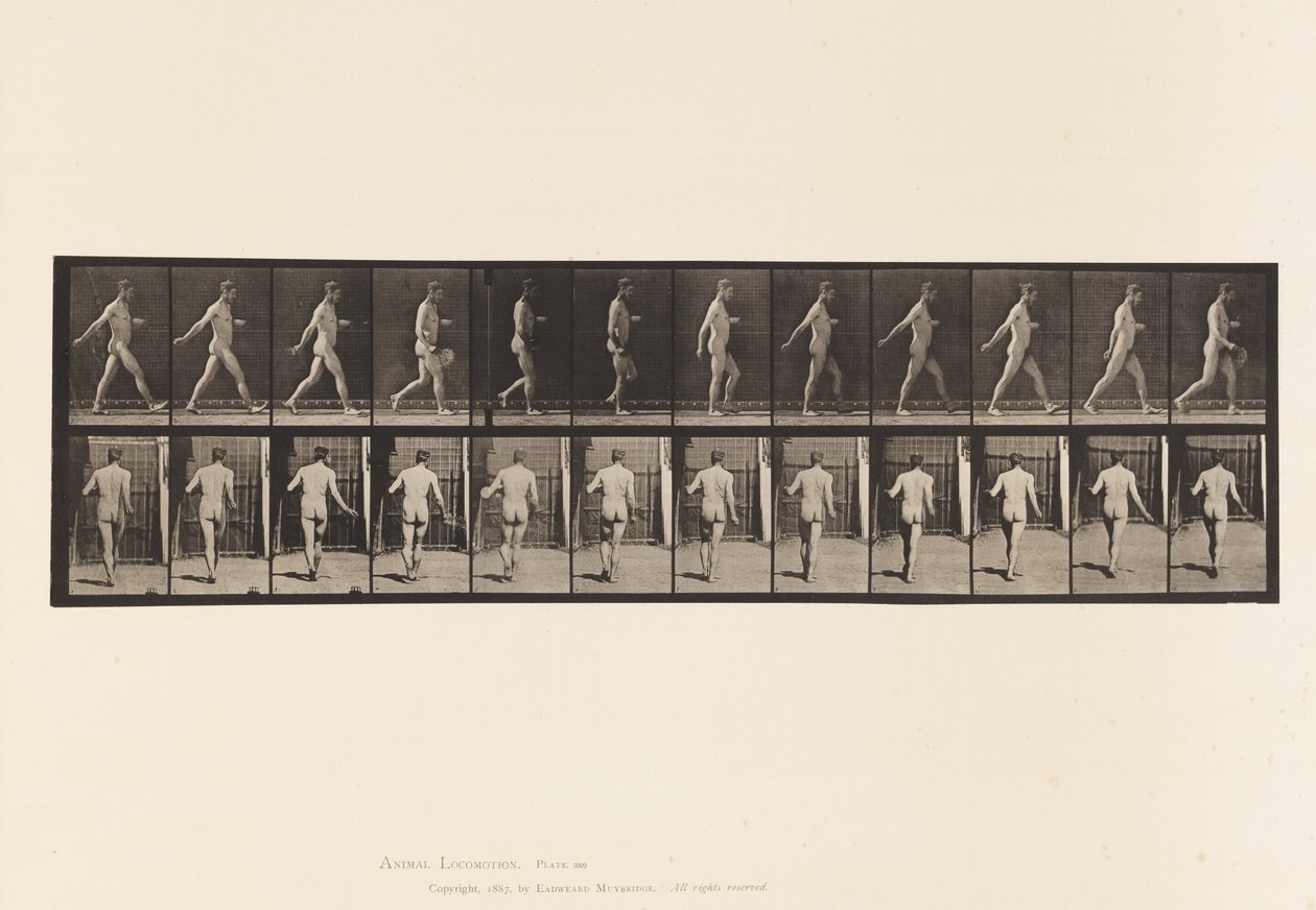 Talerz 389. Rolnik, Rozrzucanie nasion, 1872-1885 autorstwa Eadweard Muybridge