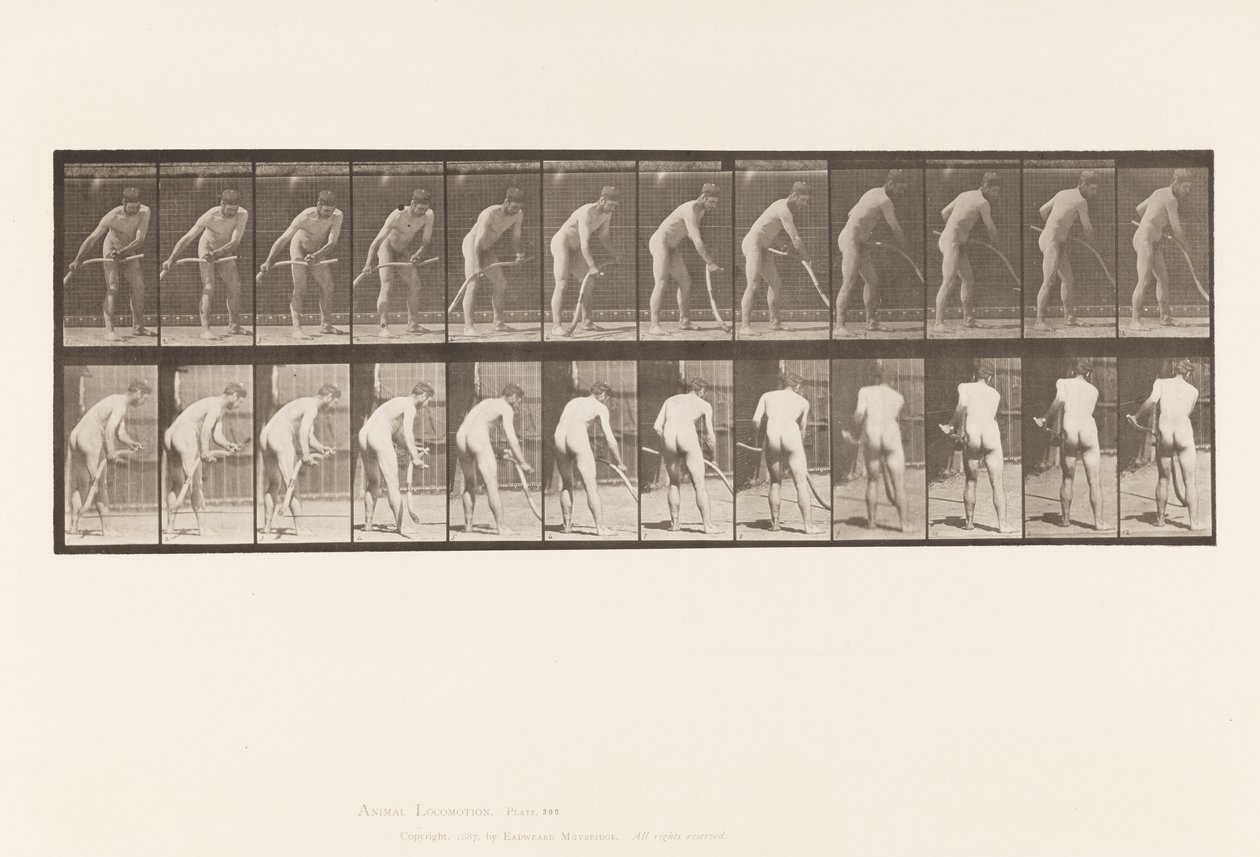 Talerz 390. Rolnik, koszenie trawy autorstwa Eadweard Muybridge