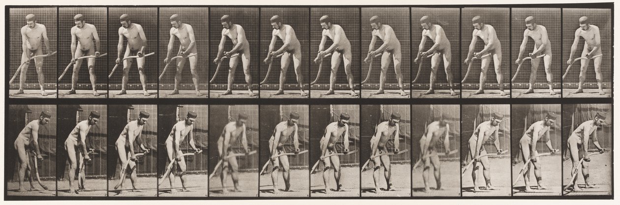 Tabliczka 391. Rolnik, koszenie trawy autorstwa Eadweard Muybridge