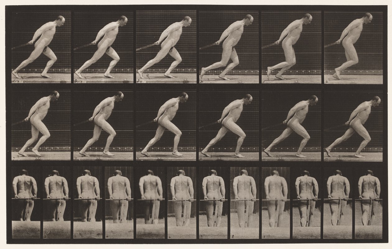 Tabliczka 392. Przeciąganie wałka ogrodowego, 1872-1885 autorstwa Eadweard Muybridge