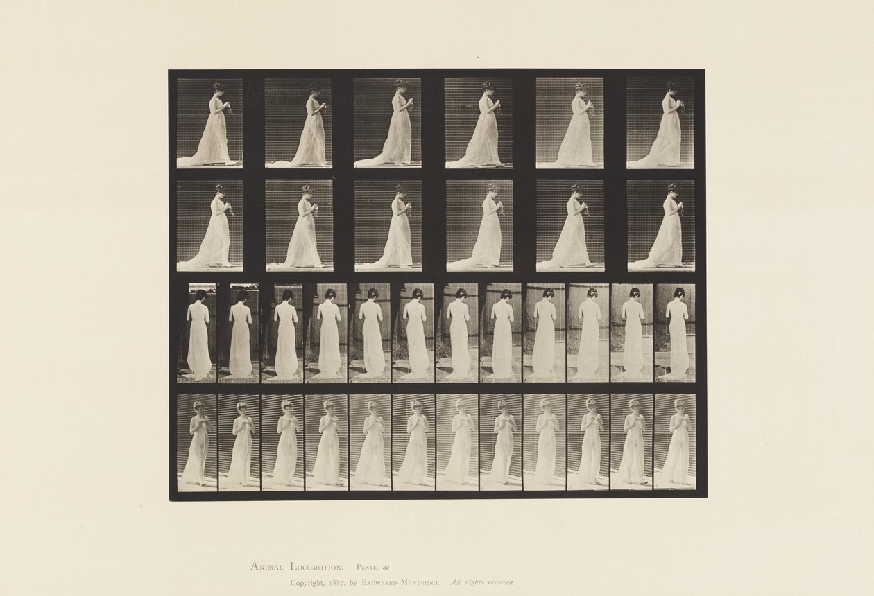Płyta 39. Chodzenie, ręce zaangażowane w dzierganie, 1872-1885 autorstwa Eadweard Muybridge