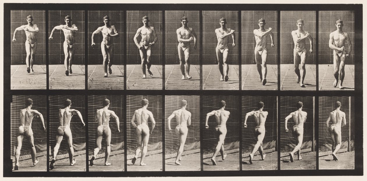 Płyta 3. Chodzenie autorstwa Eadweard Muybridge