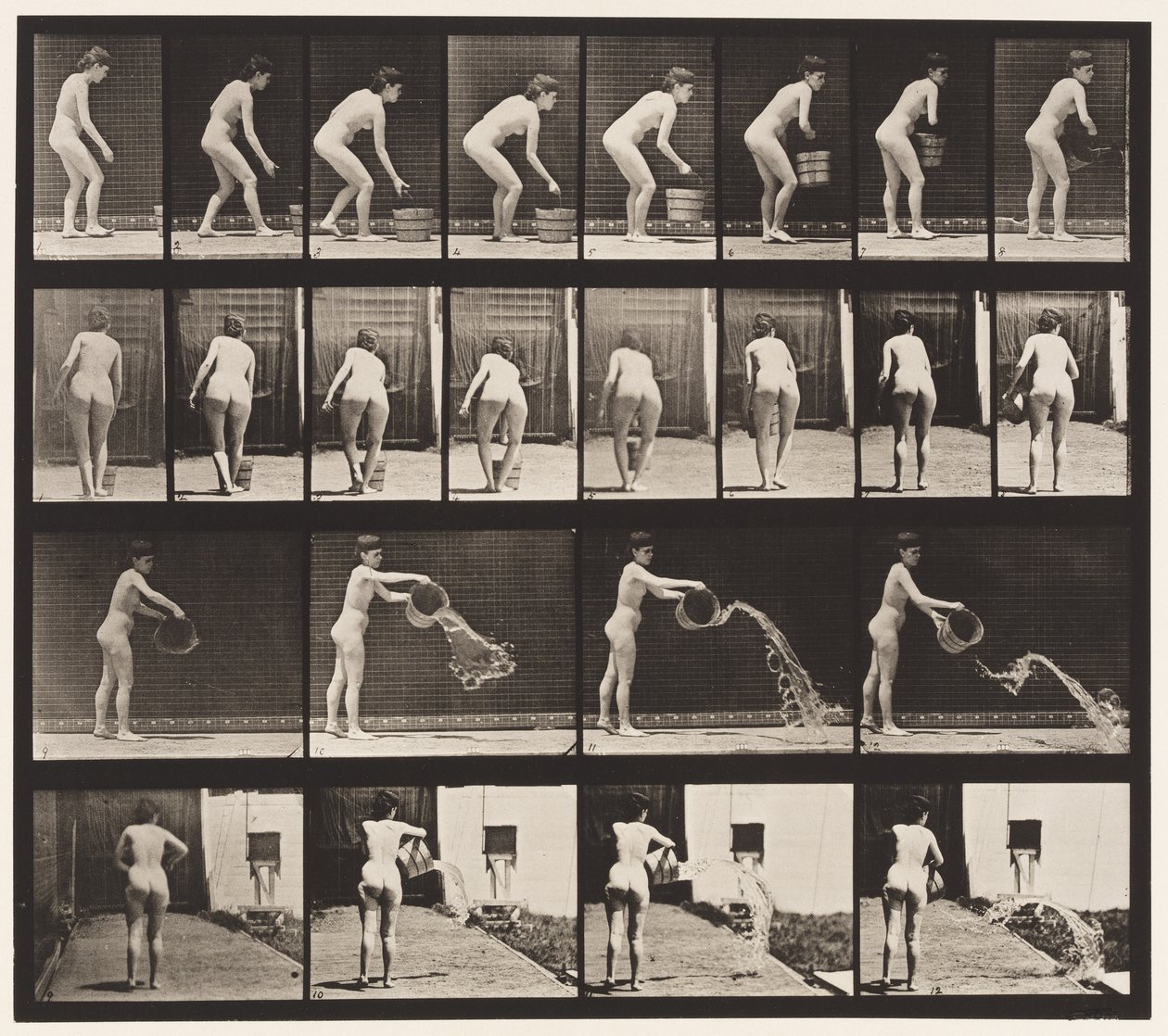 Płyta 401. Wiadro opróżniania z wodą autorstwa Eadweard Muybridge