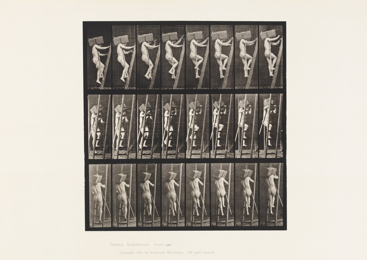 Tablica 405. Wnoszenie cegieł po drabinie, 1872-1885 autorstwa Eadweard Muybridge