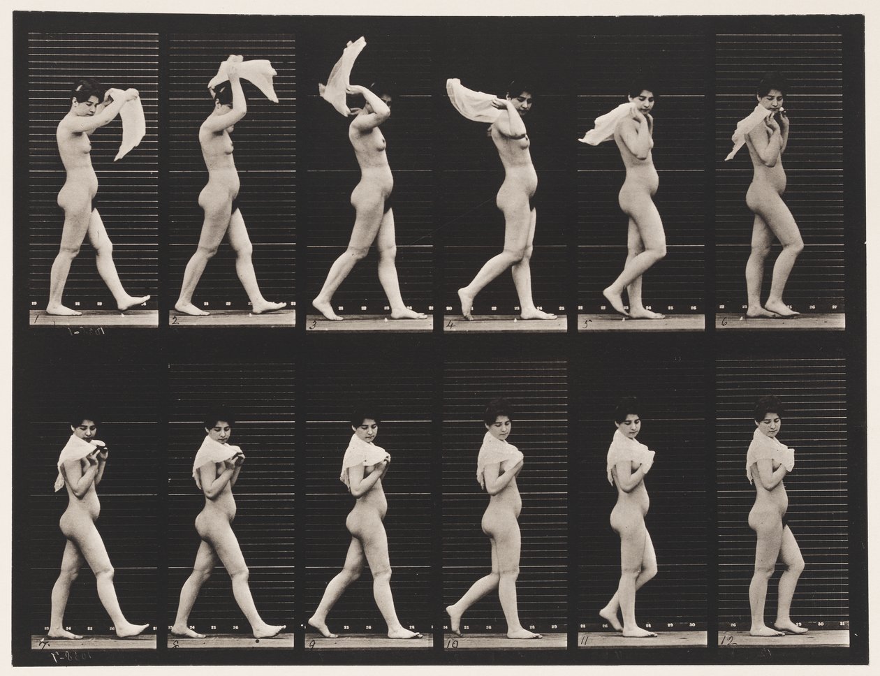 Płyta 40. Chodzenie, rzucanie chusteczką na ramiona autorstwa Eadweard Muybridge
