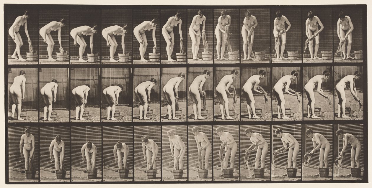 Talerz 433. Wyżymanie ubrań autorstwa Eadweard Muybridge
