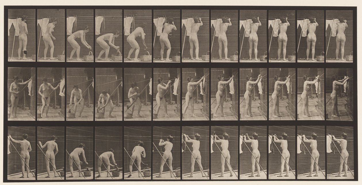 Talerz 434. Wiszące ubrania na sznurku, 1872-1885 autorstwa Eadweard Muybridge