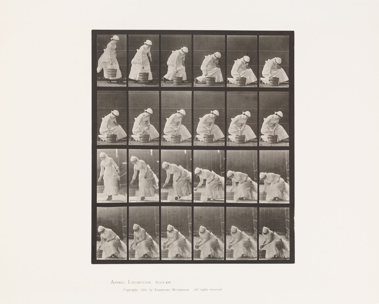 Płyta 438. Odstawianie wiadra i przygotowanie do szorowania, 1885 autorstwa Eadweard Muybridge