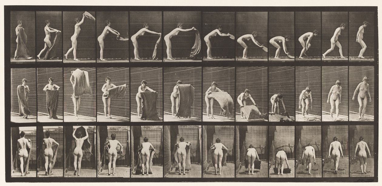 Tabliczka 439. Rozkładanie dywanika na podłodze, 1872-1885 autorstwa Eadweard Muybridge