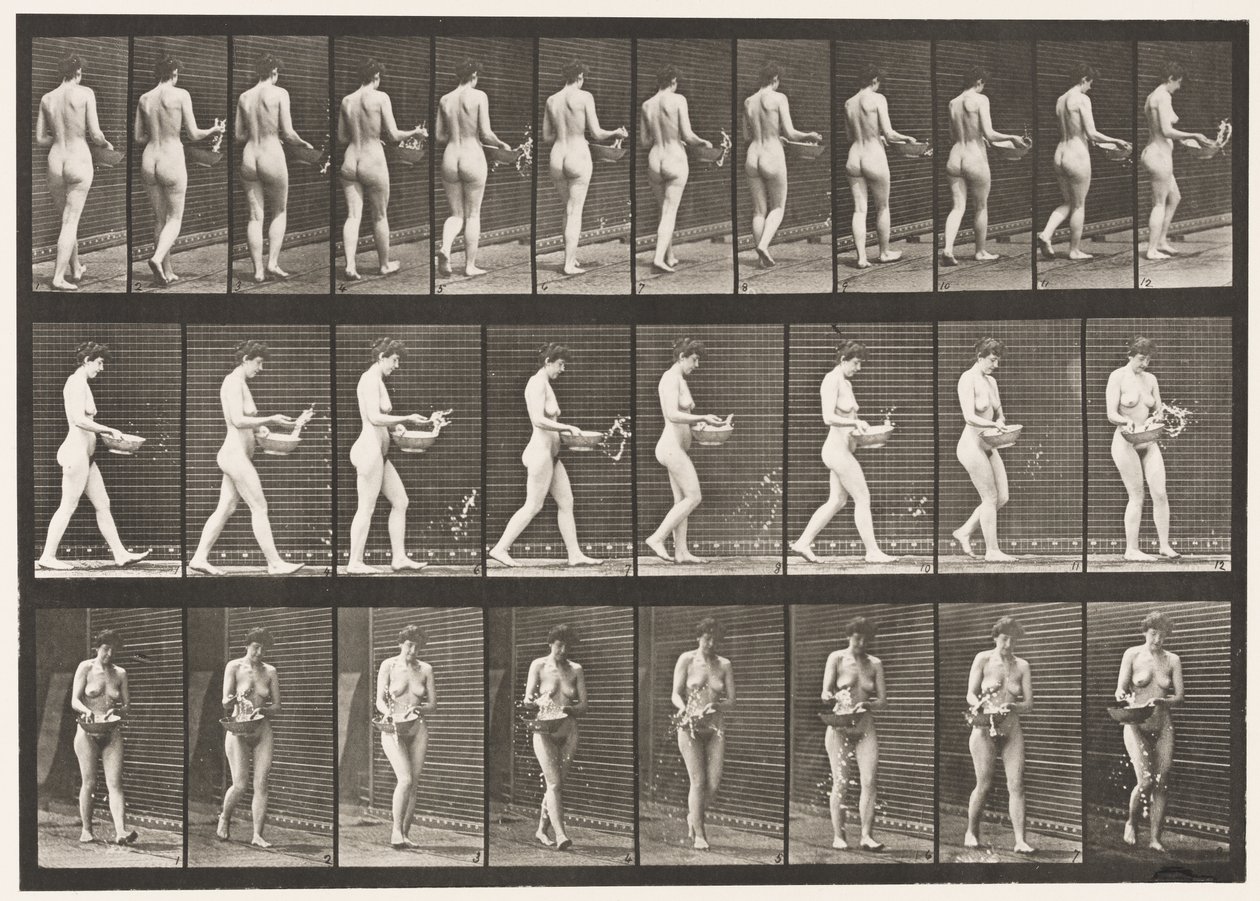 Płyta 43. Chodzenie, kropienie wodą z basenu, odwracanie się autorstwa Eadweard Muybridge