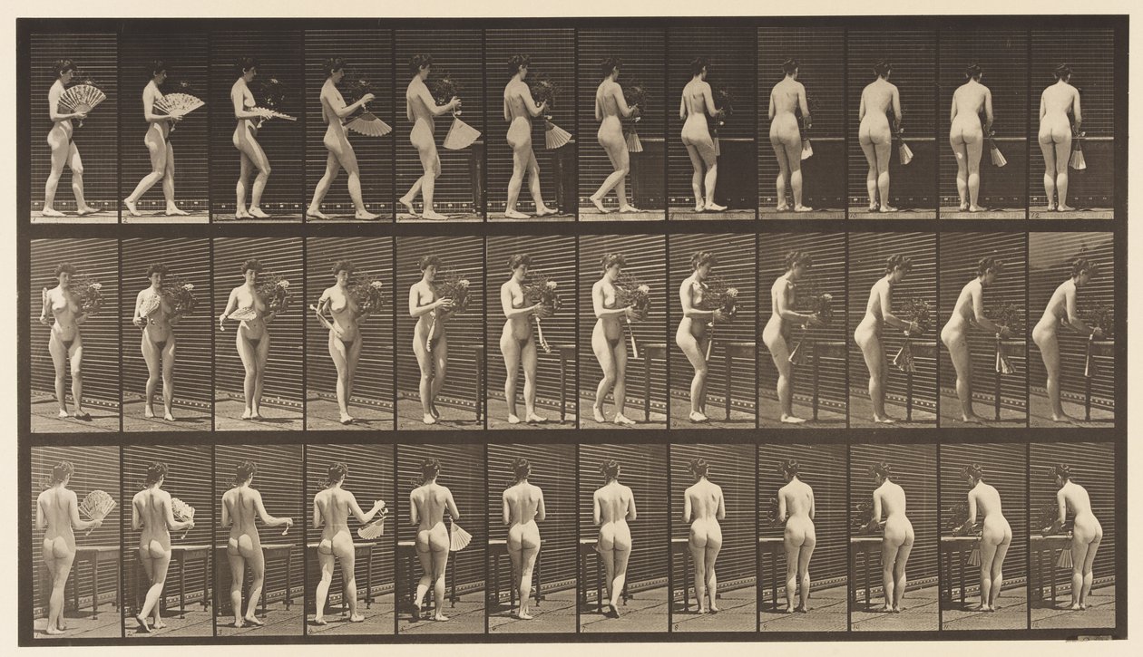 Talerz 441. Noś wazon i kładź go na stole, 1872-1885 autorstwa Eadweard Muybridge