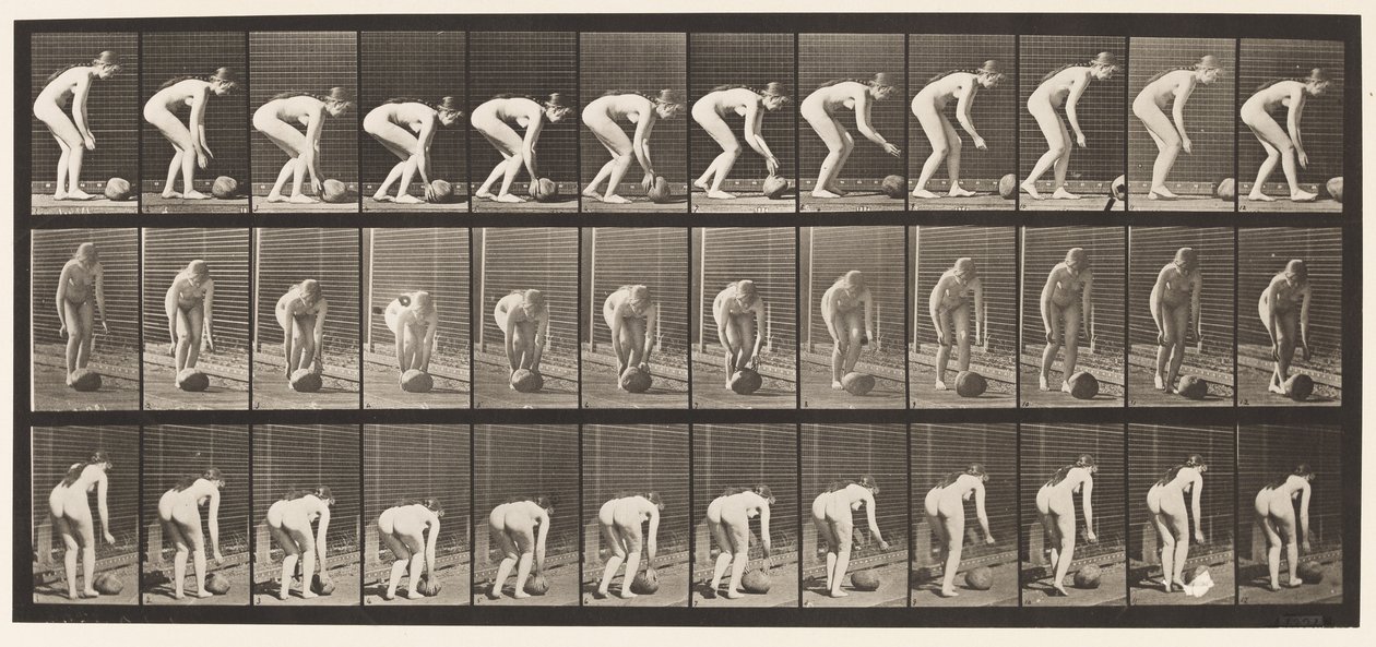 Płyta 442. Pochylanie się i toczenie kamienia po ziemi autorstwa Eadweard Muybridge
