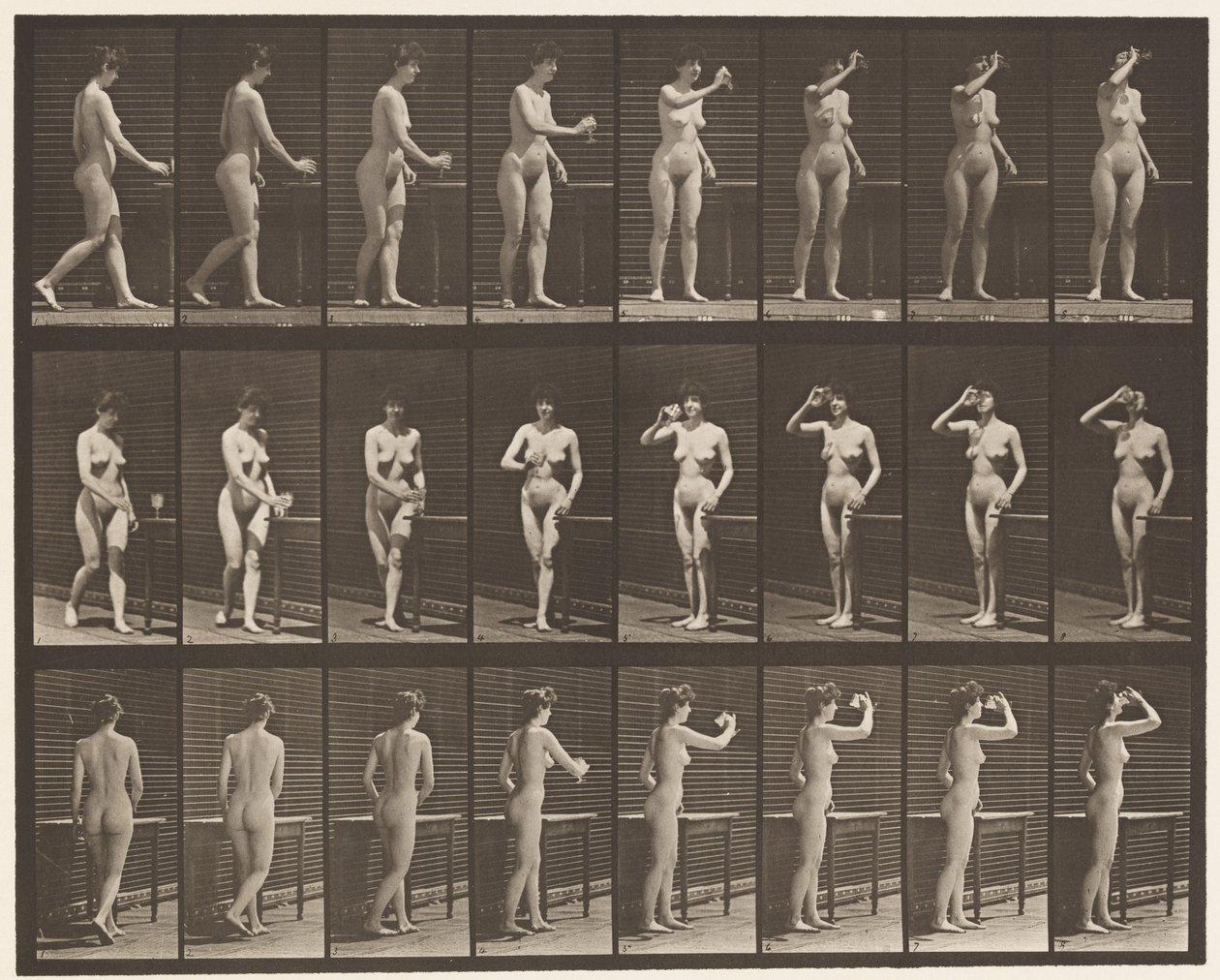 Talerz 443. Picie z kielicha w pozycji stojącej autorstwa Eadweard Muybridge
