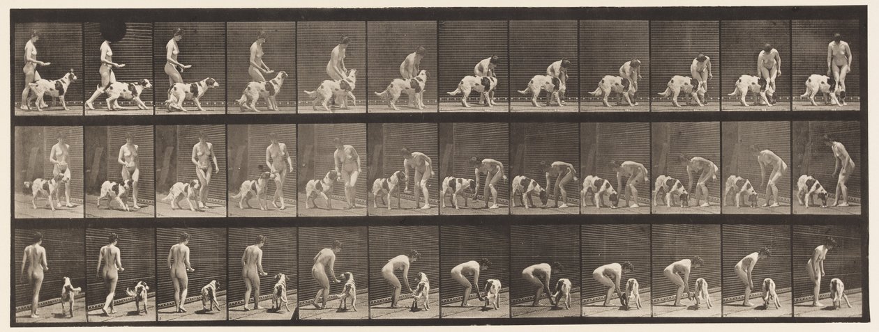 Talerz 449. Karmienie psa autorstwa Eadweard Muybridge