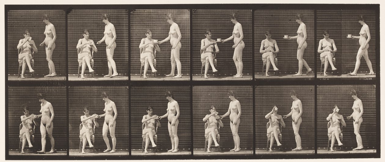 Talerz 450. Dwa modele, 8 filiżanek herbaty, 1 filiżanka i napoje, 1872-1885 autorstwa Eadweard Muybridge