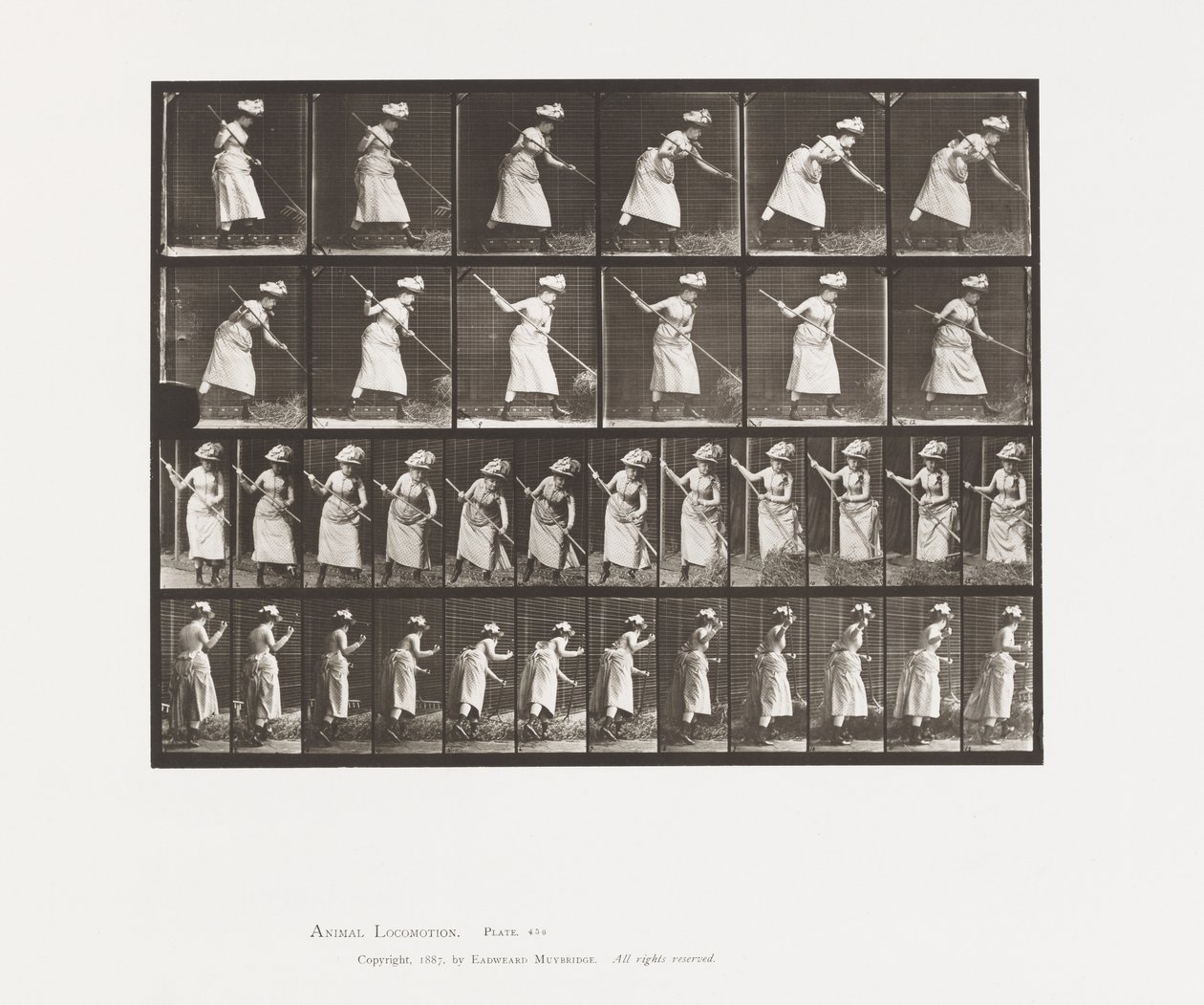 Płyta 456. Ranking to 165 autorstwa Eadweard Muybridge