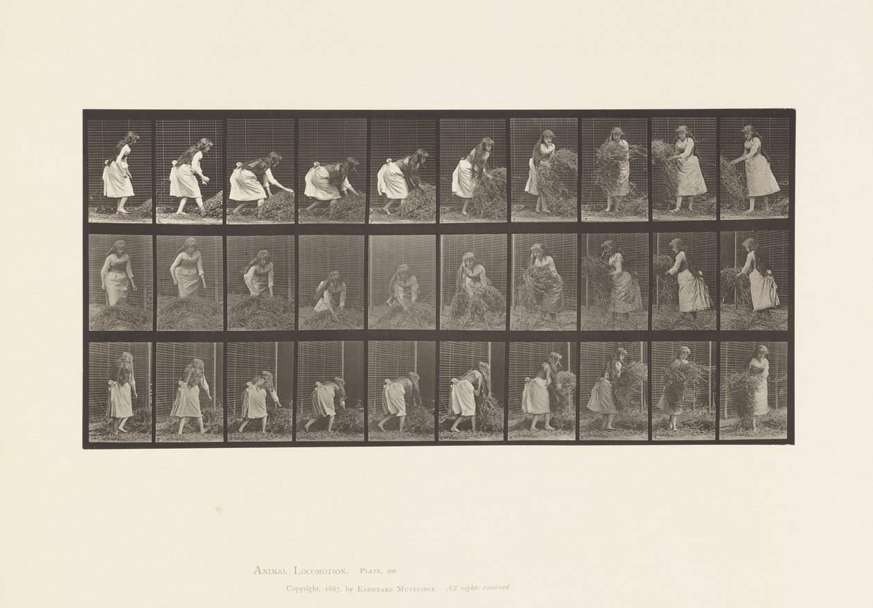 Tabliczka 458. Podnoszenie garści siana, obracanie, rzucanie autorstwa Eadweard Muybridge