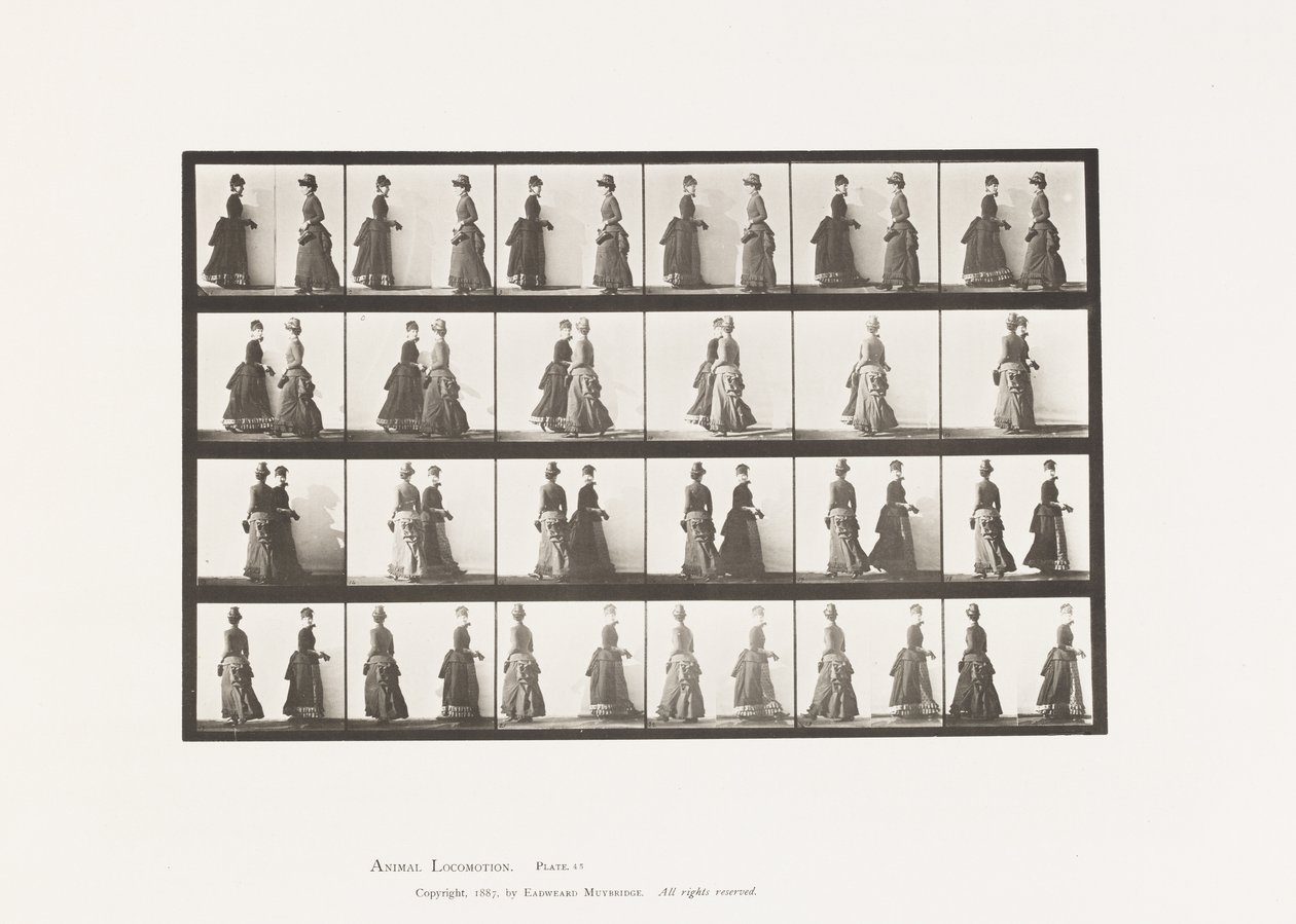 Płyta 45. Chodzenie na spotkaniu dwóch modeli i częściowe obracanie się autorstwa Eadweard Muybridge