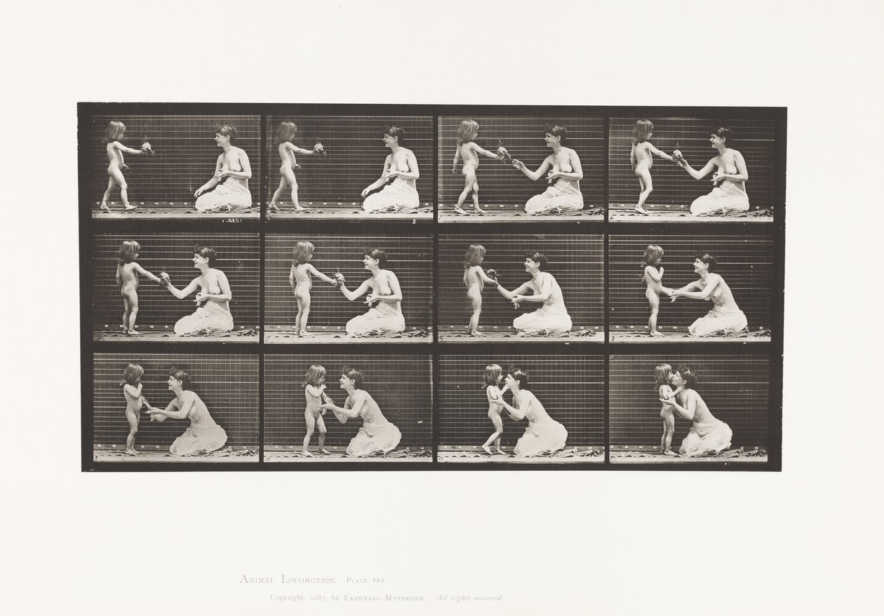 Talerz 465. Dwa modele, dziecko 70N, przynoszące bukiet do 12, 1885 autorstwa Eadweard Muybridge