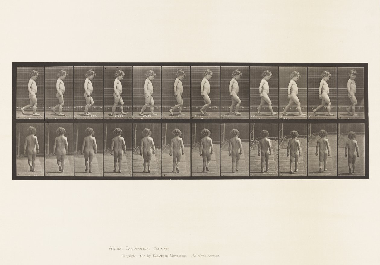 Tabliczka 467.Dziecko, chodzenie, 1885 autorstwa Eadweard Muybridge