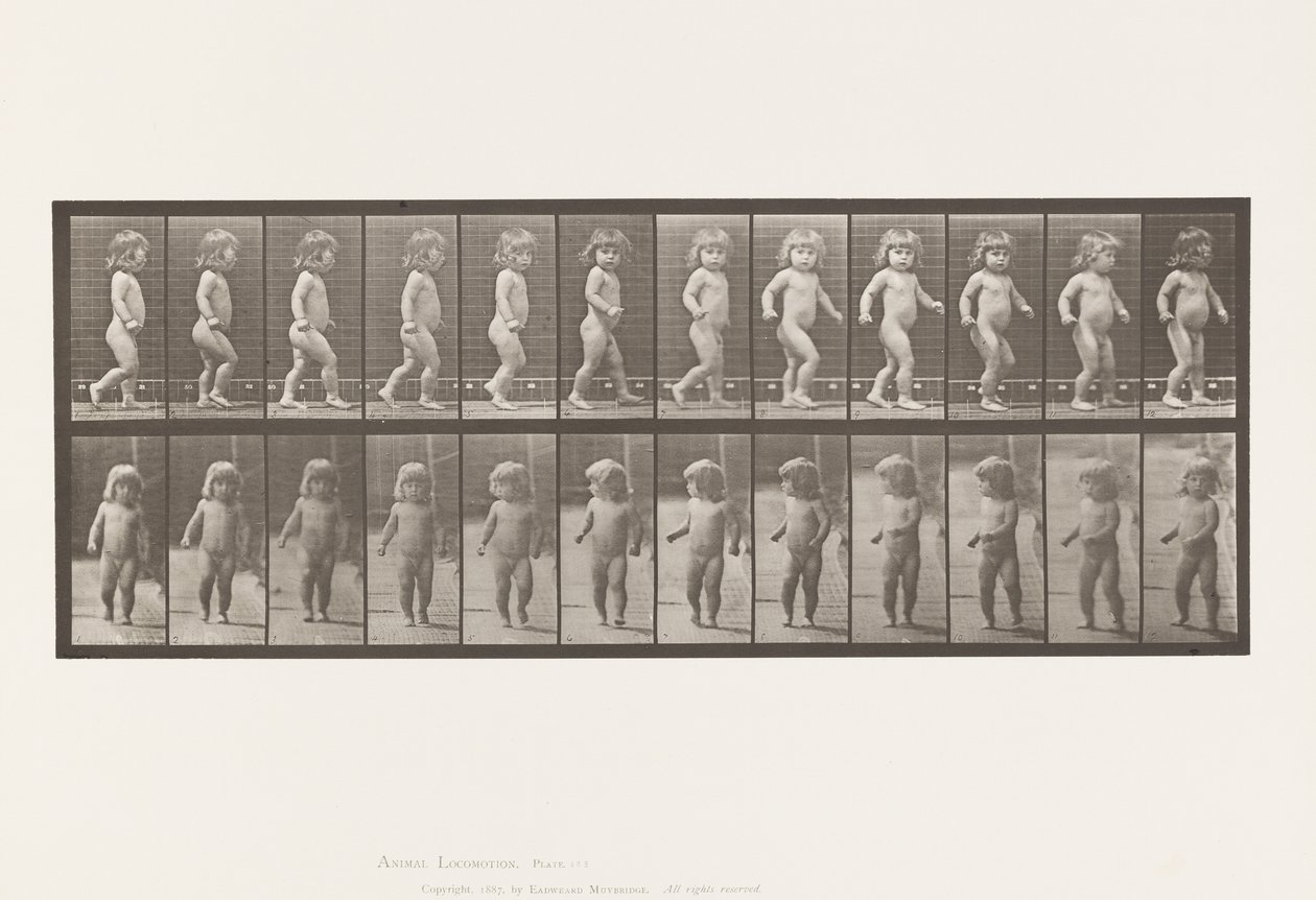 Tabliczka 468. Dziecko, chodzenie autorstwa Eadweard Muybridge