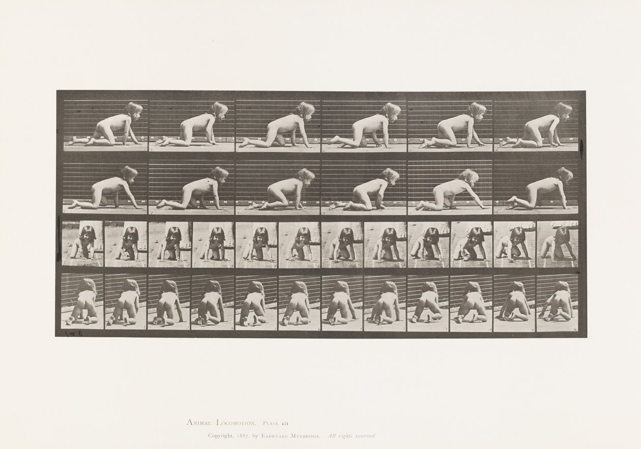 Tabliczka 471. Dziecko, Czołganie się na rękach i kolanach, 1885 autorstwa Eadweard Muybridge