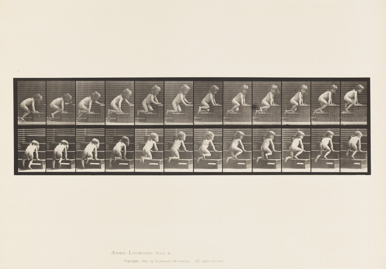 Tabliczka 472. Dziecko, Crawling Upstairs, 1885 (kolotypia na papierze) autorstwa Eadweard Muybridge