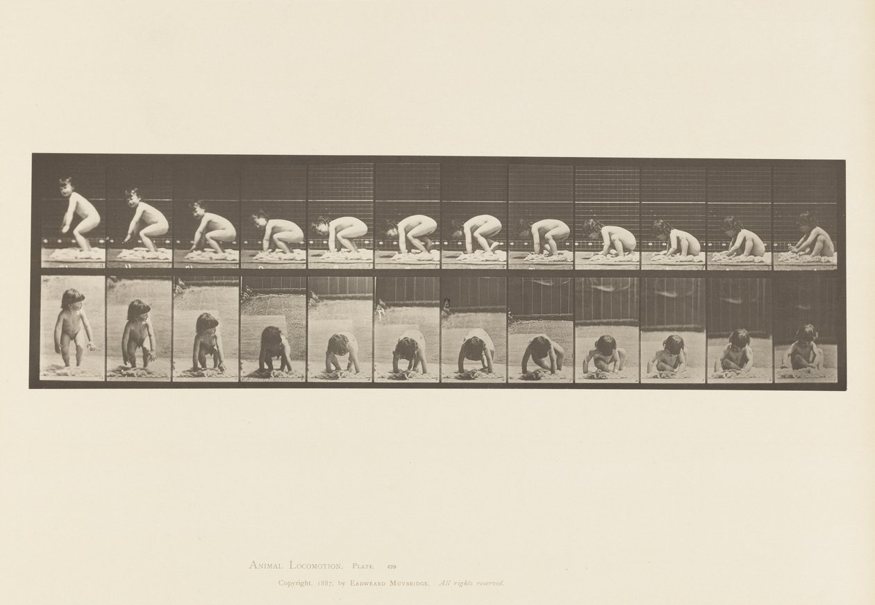 Tablica 479. Dziecko, Wstawanie z ziemi autorstwa Eadweard Muybridge
