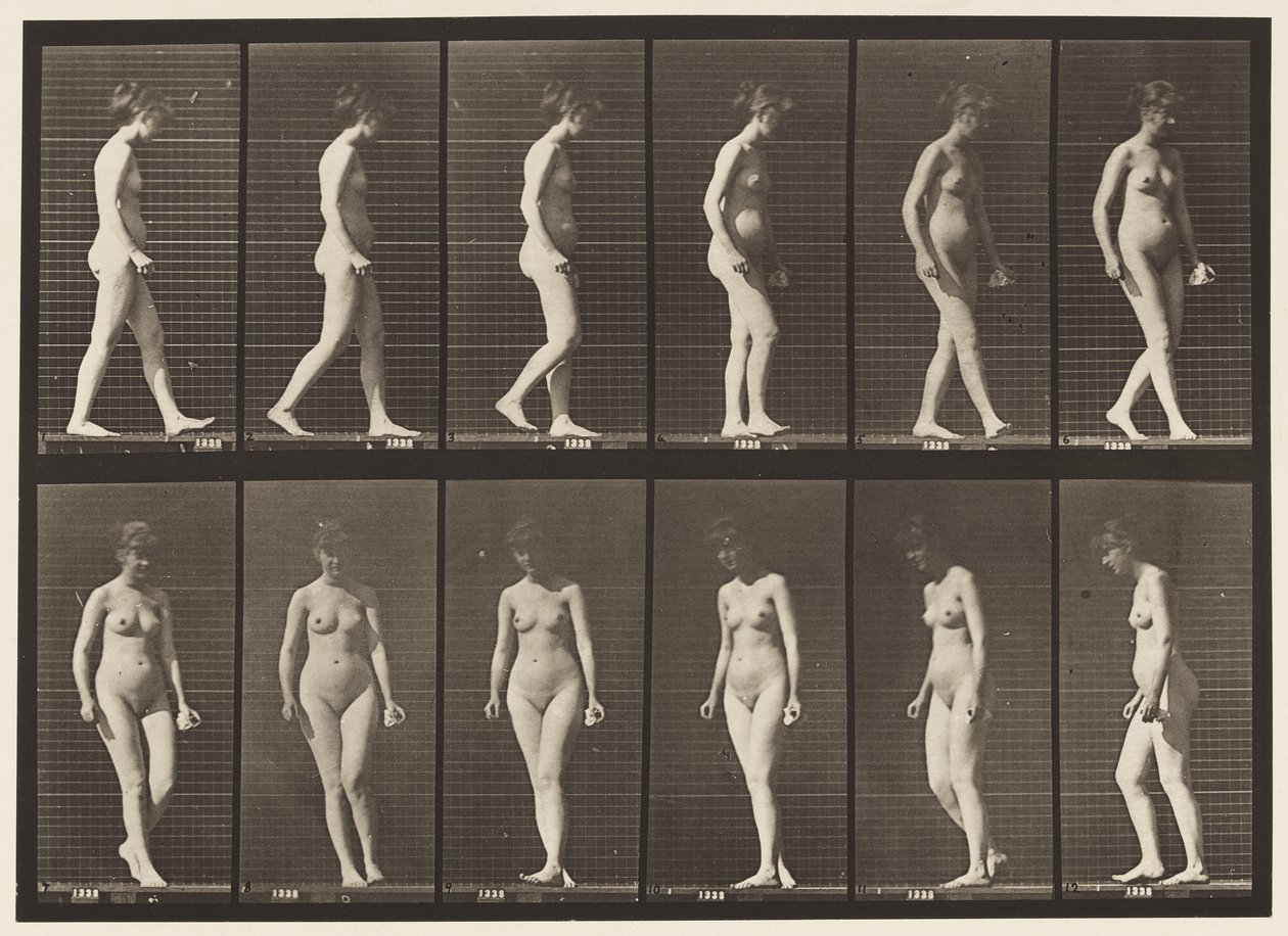 Płyta 47. Chodzenie i odwracanie się autorstwa Eadweard Muybridge