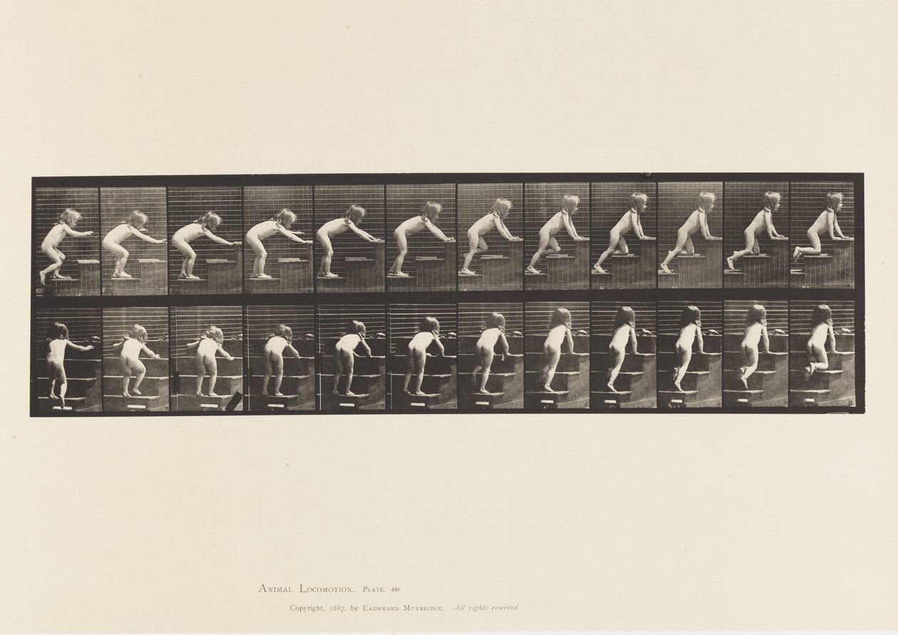 Płyta 480. Dziecko, chodzenie i czołganie się po schodach autorstwa Eadweard Muybridge